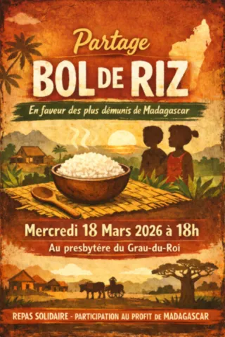 Bol de riz