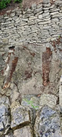 Aubais - Saint-Nazaire